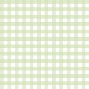 FLANNEL  Sweetmint Gingham by Riley Blake  Green   44" wide 100% Cotton Fabric