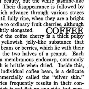 Puede incluir: Un extracto de texto en blanco y negro de un libro sobre el cultivo del café. El texto describe las etapas de desarrollo de la cereza de café, desde el verde hasta el rojo, y el proceso de extracción de los granos. El texto también menciona los granos de café "piel de plata" y "guisante".
