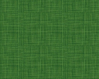 Grasscloth Green by Riley Blake  C780
