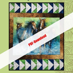 Scarica PDF Modello Splash Panel di Sugar Pine Quilts per Villa Rosa Designs 50x62 SOLO MODELLO