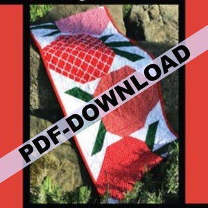 Scarica PDF Berry-Licious Runner di Orphan Quilt Designs SOLO MODELLO