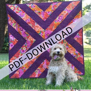 PDF Scarica Birdie di Running Doe Quilts per Villa Rosa Designs 40x40 SOLO MODELLO