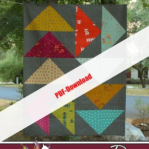 DOWNLOAD PDF - Lazy Goose di Running Doe Quilts per Villa Rosa Designs Solo modello 64x80