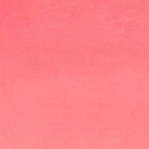 MINKY - Cuddle Paris Pink by Shannon Fabrics  58 inch Wide MINKY  Fabric Yardage