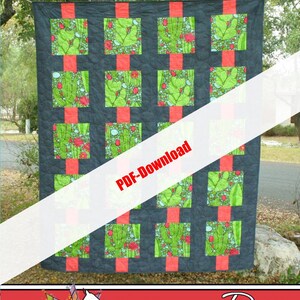 Scarica PDF**- Paralleled - di Running Doe Quilts per Villa Rosa Designs 62x77 SOLO MODELLO