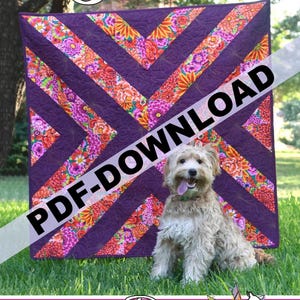PDF Scarica Birdie a Running Doe Quilts per Villa Rosa Designs 40x40 SOLO MODELLO