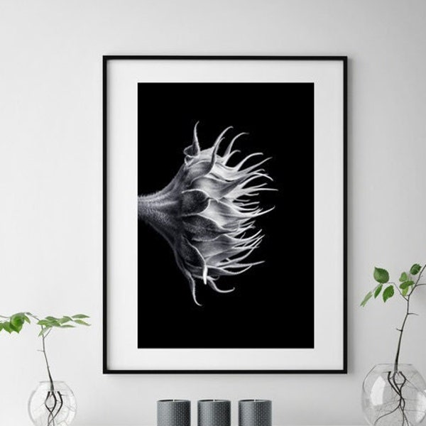 Beautiful Abstract Fine Art Photographic Print of a Sunflower created with a macro lens in studio and finished in black and white