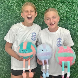 Volleyball Plushie: Purple & Blue Stuffed Sports Toy