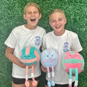 Volleyball Plushie: Purple & Blue Stuffed Sports Toy