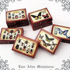 Puede incluir: Seis cajas de madera en miniatura con una estética vintage. Cada caja presenta un diseño diferente de insectos o mariposas. Las cajas están apiladas una encima de la otra y dispuestas en fila. Las cajas son de madera y tienen un acabado marrón. Los insectos y las mariposas están impresos en las cajas en una variedad de colores.