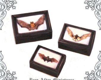 3 BAT Miniature Boxes Display Cases Set –1:12 Dollhouse Vampire Bat Miniature Boxes – Bat Shadow Box Halloween Miniatures Printable DOWNLOAD
