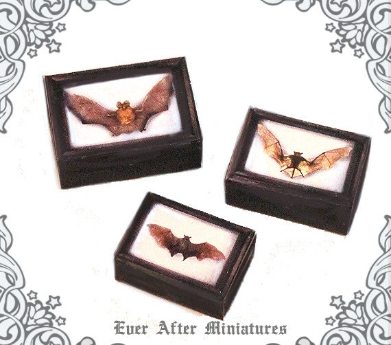 3 BAT Miniature Boxes Display Cases Set –1:12 Dollhouse Vampire Bat Miniature Boxes – Bat Shadow Box Halloween Miniatures Printable DOWNLOAD