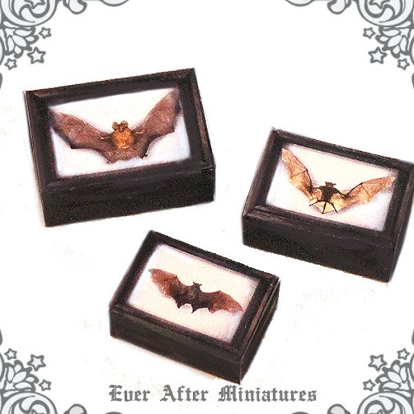 3 BAT Miniature Boxes Display Cases Set –1:12 Dollhouse Vampire Bat Miniature Boxes – Bat Shadow Box Halloween Miniatures Printable DOWNLOAD