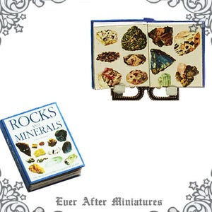 ROCK & MINERAL Dollhouse Miniature Book – 1:12 Miniature Rock Science Book - Printable Miniature Science Geology Earth Science Book DOWNLOAD