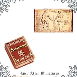 ANATOMIE Puppenhaus Miniatur Buch - 1:12 Medizinische Miniaturen Skelette Anatomie Miniatur Buch Wissenschaft Anatomie Buch Textbuch Printable DOWNLOAD