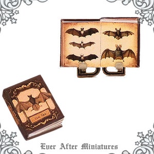 Fledermaus Miniatur Buch – 1:12 Fledermaus Miniatur Enzyklopädie Antikes Fledermaus Buch – Vampir Fledermaus Halloween Miniatur Buch Printable DOWNLOAD