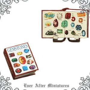 Può includere: Un libro in miniatura intitolato "Gemstones" con illustrazioni colorate di diverse pietre preziose. Il libro è chiuso e ha una copertina rossa con lettere dorate. Il libro fa parte di un set di case delle bambole in miniatura.