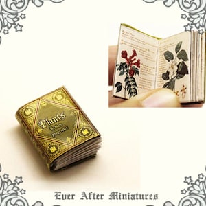 Puppenhaus Miniaturbuch - 12th Scale ÖFFNBARES Kräuterkunde Miniaturbuch - Puppenhaus Miniaturenzyklopädie - Printable DOWNLOAD