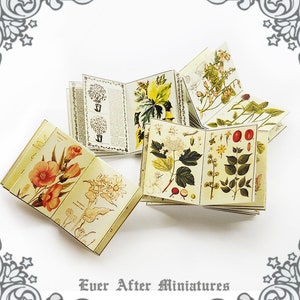 Herb INSIDE PAGES for Dollhouse Miniature Book Cover Diy 1:12 Printable Miniature Book Pages Mini Book Plant Flower Tiny Book Page DOWNLOAD image 1