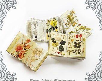 Herb INSIDE PAGES for Dollhouse Miniature Book Cover Diy- 1:12 Printable Miniature Book Pages Mini Book Plant Flower Tiny Book Page DOWNLOAD