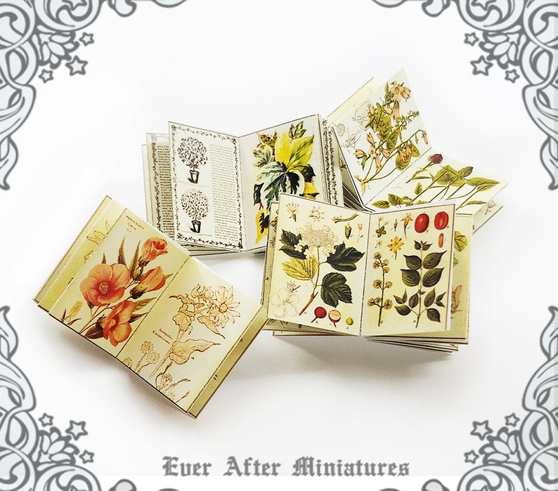 Herb INSIDE PAGES for Dollhouse Miniature Book Cover Diy 1:12 Printable Miniature Book Pages Mini Book Plant Flower Tiny Book Page DOWNLOAD image 1