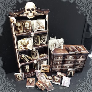 1:12 Gothic Dollhouse Miniature Apothecary Cabinet of Curiosity Haunted Dollhouse Bookcase Gothic Miniature Book Witch Printable DOWNLOAD