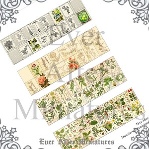 Herb INSIDE PAGES for Dollhouse Miniature Book Cover Diy 1:12 Printable Miniature Book Pages Mini Book Plant Flower Tiny Book Page DOWNLOAD image 3