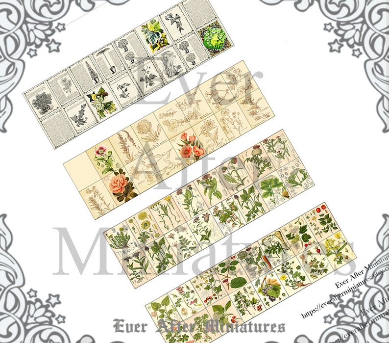 Herb INSIDE PAGES for Dollhouse Miniature Book Cover Diy 1:12 Printable Miniature Book Pages Mini Book Plant Flower Tiny Book Page DOWNLOAD image 3