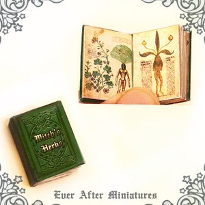 Witch's Herbs Puppenhaus Miniaturbuch - 1:12 Hexenkräuter - Magie Miniaturbuch - Kräuter für die Zaubertränke-Herstellung - Halloween druckbarer DOWNLOAD