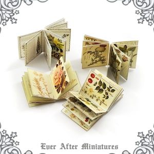 Herb INSIDE PAGES for Dollhouse Miniature Book Cover Diy 1:12 Printable Miniature Book Pages Mini Book Plant Flower Tiny Book Page DOWNLOAD image 5