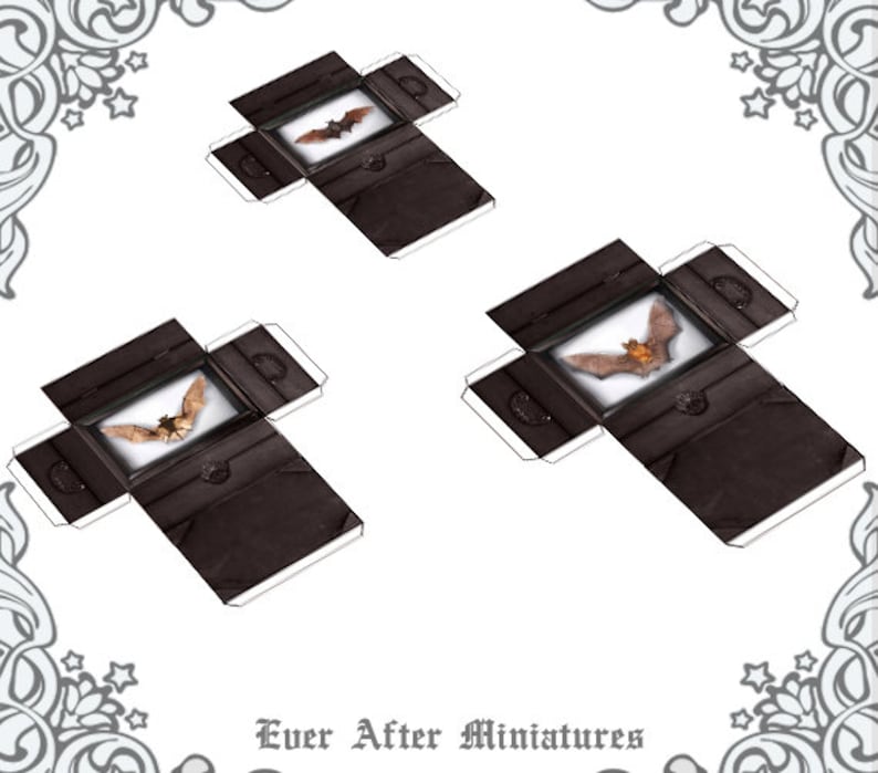 3 BAT Miniature Boxes Display Cases Set –1:12 Dollhouse Vampire Bat ...