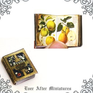 Obst Enzyklopädie Puppenhaus Miniaturbuch - Maßstab 12 ÖFFNBAR Puppenhaus Obst Miniaturbuch Miniatur Obstführer - Printable DOWNLOAD