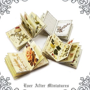 Herb INSIDE PAGES for Dollhouse Miniature Book Cover Diy 1:12 Printable Miniature Book Pages Mini Book Plant Flower Tiny Book Page DOWNLOAD image 2