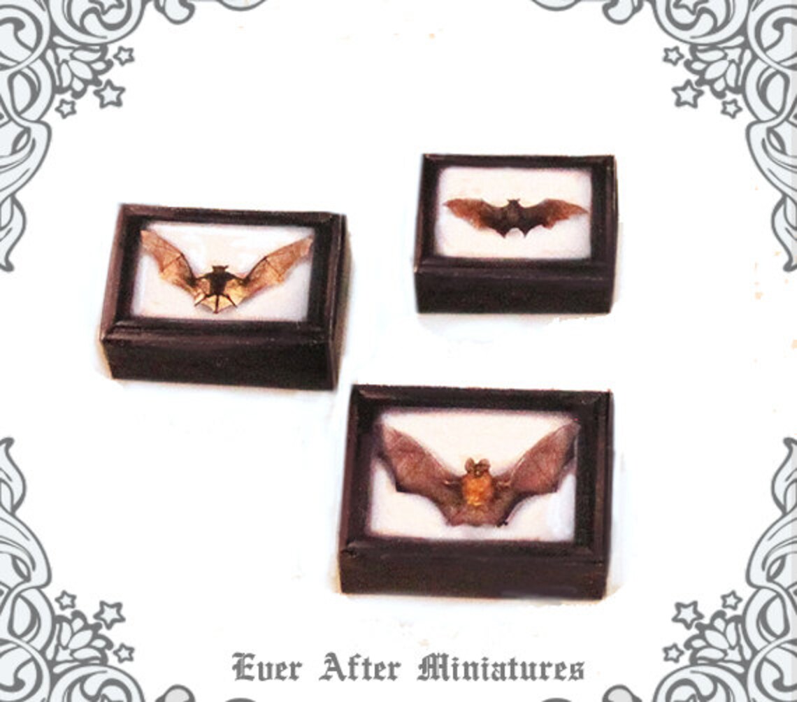 3 BAT Miniature Boxes Display Cases Set –1:12 Dollhouse Vampire Bat ...