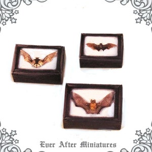 May include: Three miniature framed displays of bats. Each frame is black with a white background and a brown bat inside. The bats are in different poses.