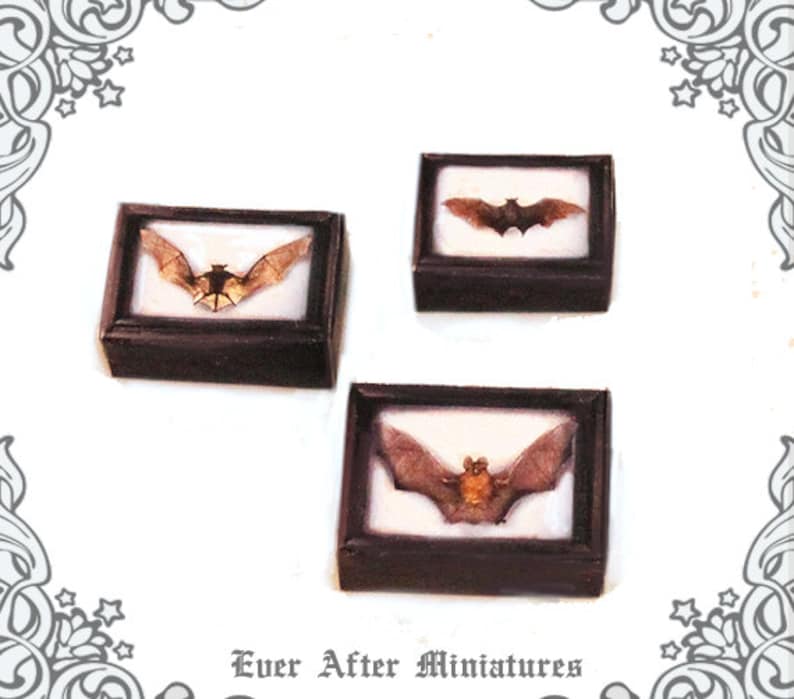 May include: Three miniature framed displays of bats. Each frame is black with a white background and a brown bat inside. The bats are in different poses.