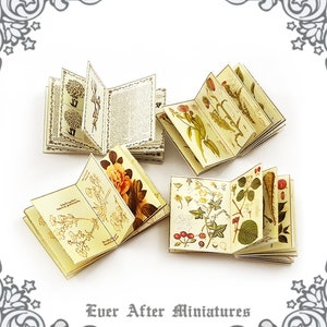 Herb INSIDE PAGES for Dollhouse Miniature Book Cover Diy 1:12 Printable Miniature Book Pages Mini Book Plant Flower Tiny Book Page DOWNLOAD image 4