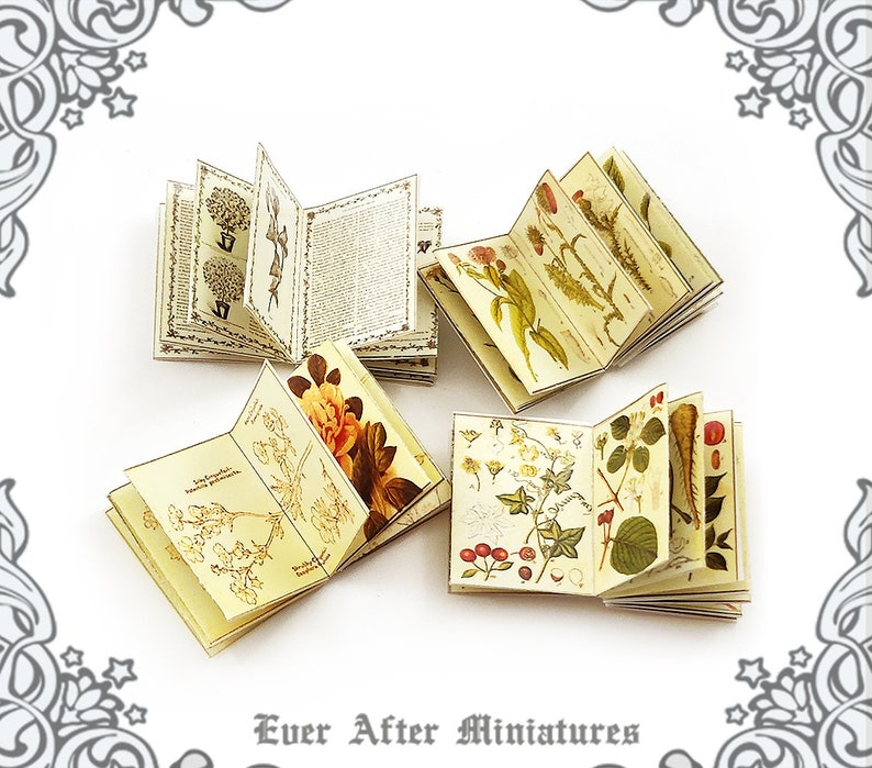 Herb INSIDE PAGES for Dollhouse Miniature Book Cover Diy 1:12 Printable Miniature Book Pages Mini Book Plant Flower Tiny Book Page DOWNLOAD image 4