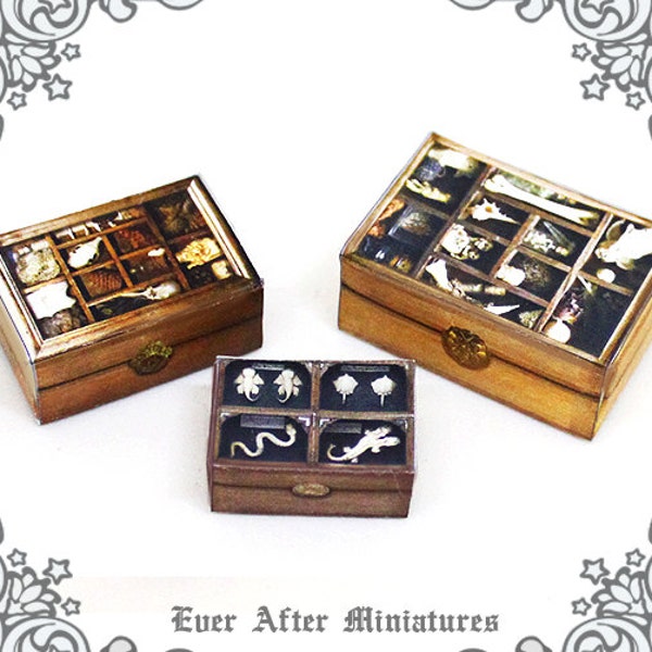 Ensemble de 3 boîtes de présentation miniatures de maison de poupée Cabinet de curiosités – 1:12 Antique Dollhouse Miniature Bone Relic Witch Case imprimable TÉLÉCHARGEMENT