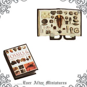 FOSSILS Dollhouse Miniature Book – 1:12 Science Miniature Book on Fossils Paleontology Geology – DIY Earth Science Book Printable DOWNLOAD