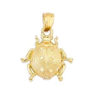 14k Solid Gold Lady Bug Pendant, Ladybug Necklace for Her, Wiosenny prezent jubilerski, Talizman szczęścia dla kobiet, Prezent na wieczór panieński dla niej