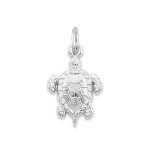 May include: A silver turtle charm pendant. The turtle is detailed with a textured shell and has a loop at the top for attaching to a chain or bracelet.