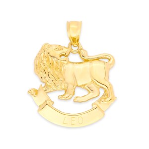 14k Solid Gold Leo Zodiac Pendant: Astrology Charm Necklace