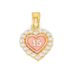 10k Tricolor Gold CZ Quinceañera Heart Pendant Necklace