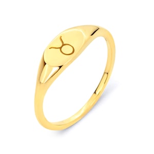14k Gold Zodiac Signet Ring: Solid Gold Astrology Jewelry
