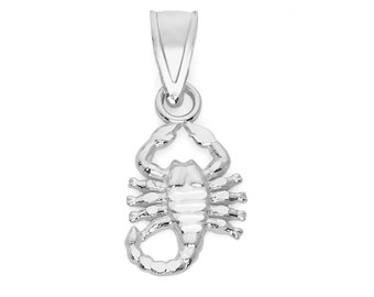 Puede incluir: Un colgante de plata en forma de escorpión con un diseño detallado. El colgante tiene un bucle en la parte superior para sujetarlo a una cadena o pulsera.