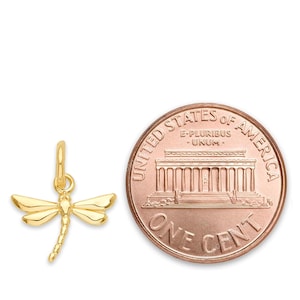 May include: A gold-toned dragonfly charm pendant, shown next to a US penny for size comparison.