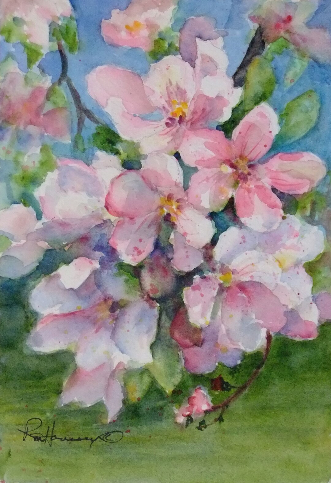 Spring Apple Blossoms, 5x7 Original Watercolor - Etsy