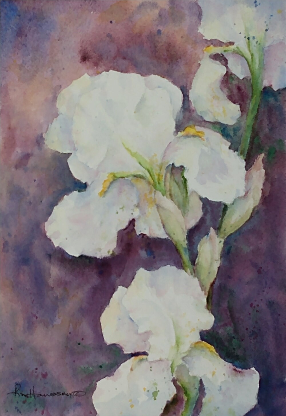 White Garden Iris Blossoms, 7x10 Original Watercolor Floral