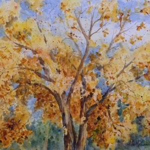 7x10 Original Watercolor Art, Fall Tree Painting